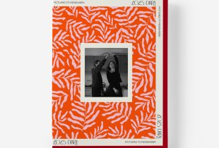 Álbum Pictures to Remember intro