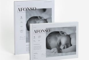 Álbum Pregnancy Journal intro